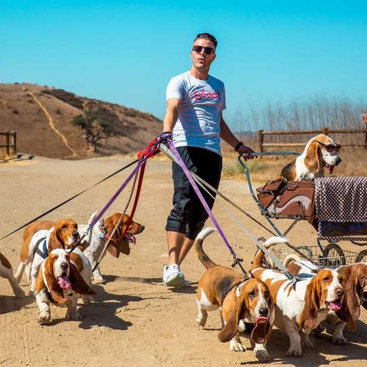 How To Build Company Culture While Working Remotely